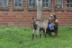 Female student feeding an animal.