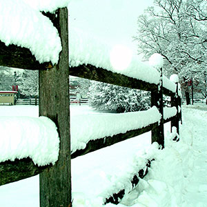 Fence on George H. Cook campus covered with snow.